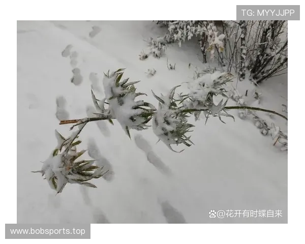 春天户外活动大揭秘：踩冰踩雪踩冰水踩泥探索自然的无限可能
